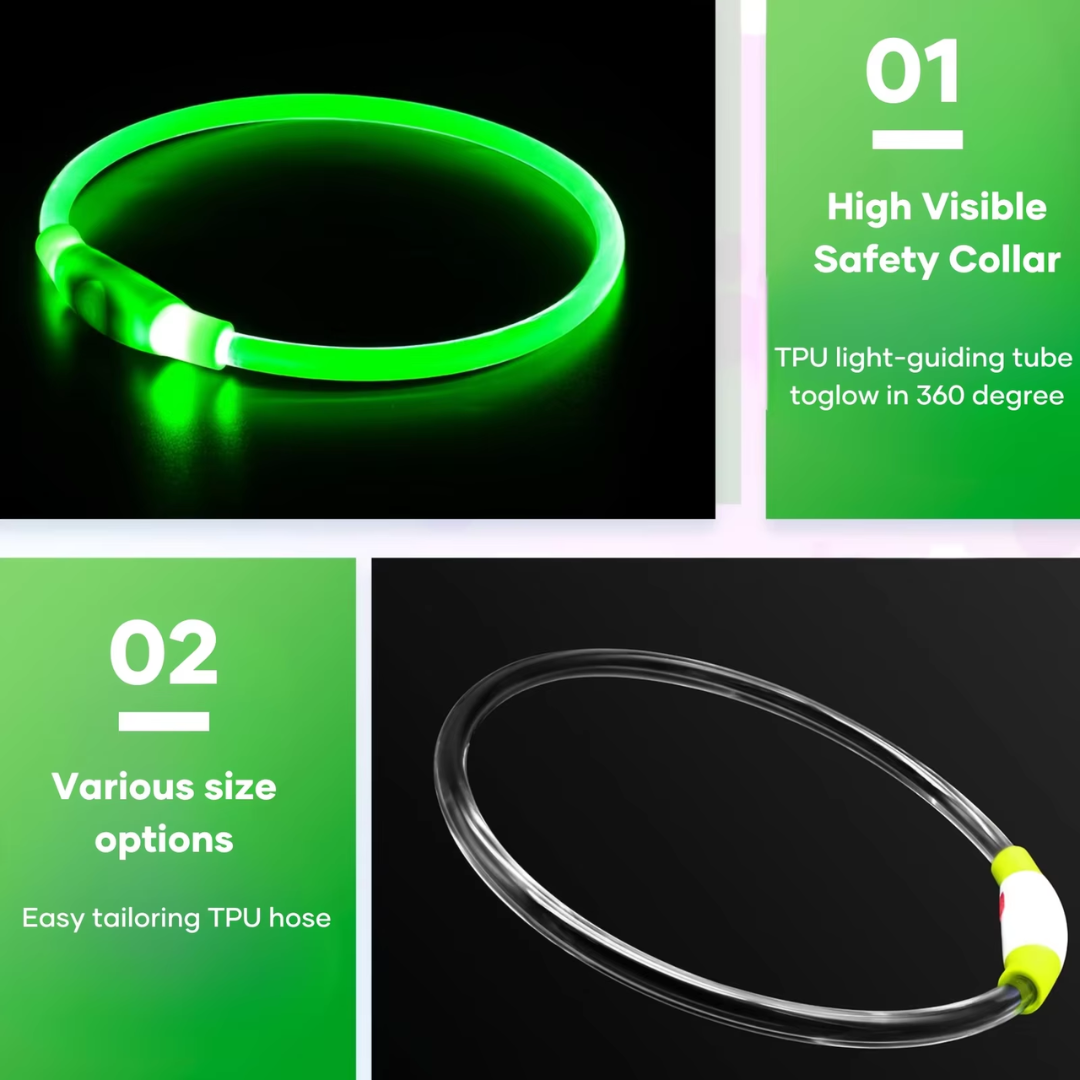 Leuchtendes Sicherheits-Halsband für Hunde, grün, TPU-Material, verstellbar, hohe Sichtbarkeit.