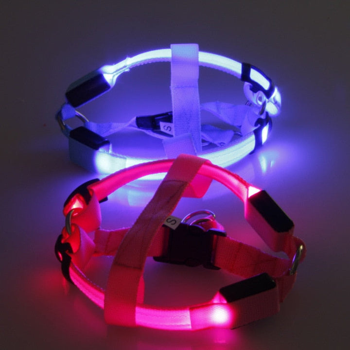 Leuchtendes LED-Hundehalsband, blau und rot, verstellbar, für Sicherheit bei Nachtspaziergängen.