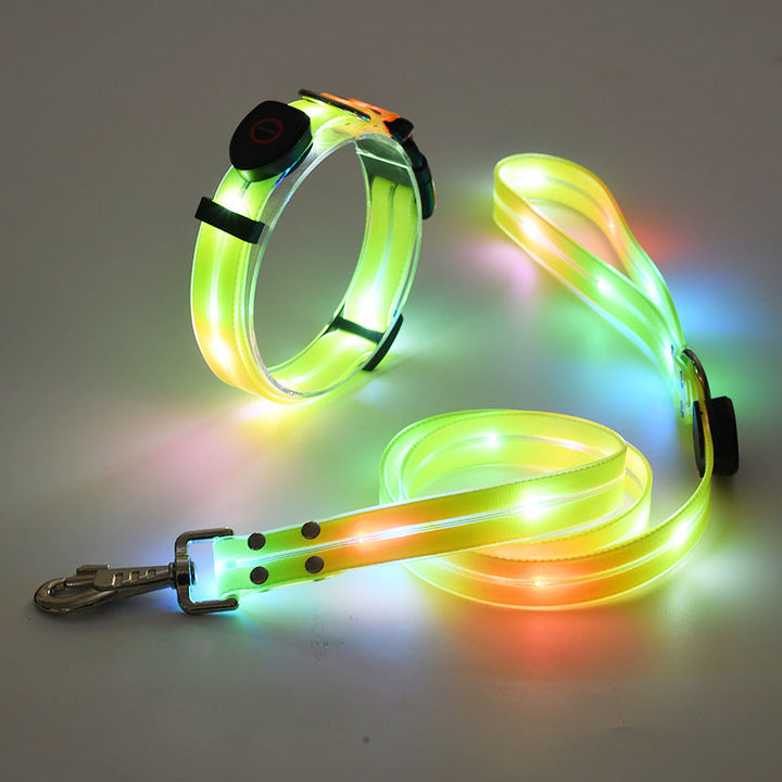 Leuchtendes LED-Hundehalsband und Leine, mehrfarbig, für Nachtspaziergänge.