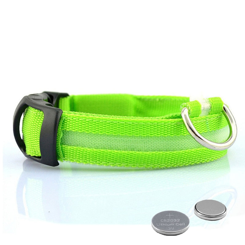 Grünes LED-Hundehalsband mit Batterien, Nylon, reflektierend, verstellbar, für Sicherheit.