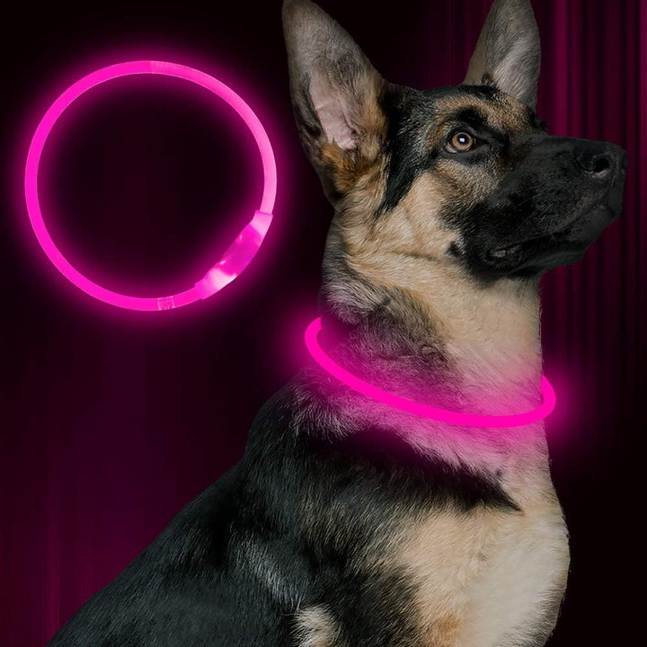 Leuchtendes Hundehalsband, pink, LED, für Sicherheit, Nachtspaziergänge, verstellbar, langlebig.