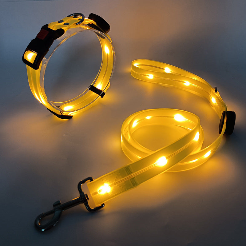 Leuchtendes LED-Hundehalsband und Leine, gelb, für Sicherheit bei Nachtspaziergängen.