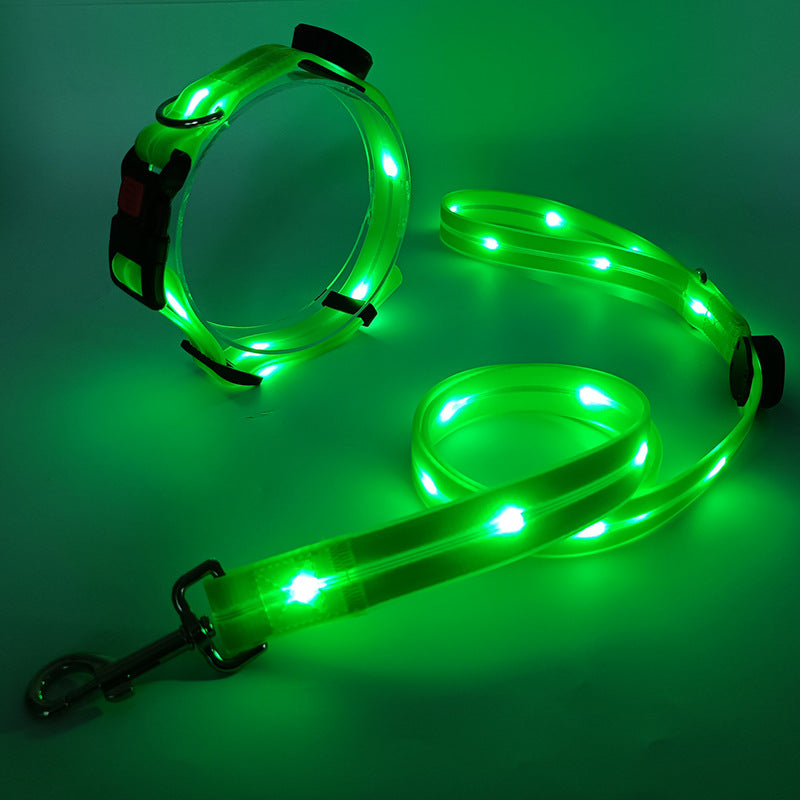Leuchtendes LED-Hundehalsband und Leine, grün, für Nachtspaziergänge, sicherheitsfördernd.