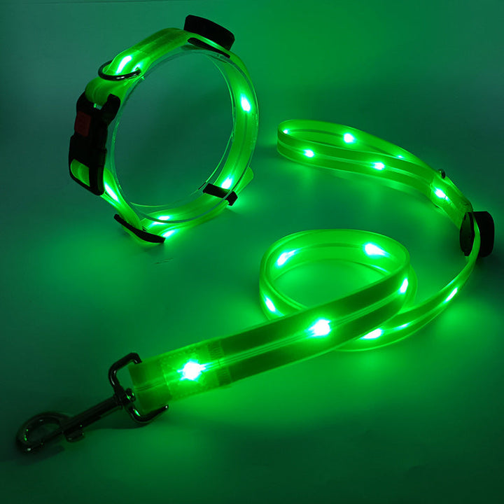 Leuchtendes LED-Hundehalsband und Leine, grün, für Nachtspaziergänge, sicherheitsfördernd.