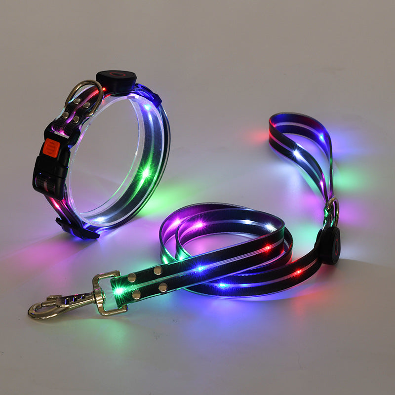 Leuchtendes LED-Hundehalsband und -leine, mehrfarbig, für Nachtspaziergänge, Sicherheit.