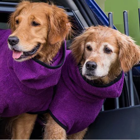 Zwei Hunde in lila Bademänteln im Auto, Haustier-Bademantel, Hundebekleidung, flauschig.