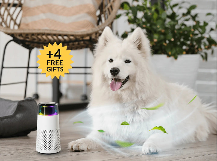 Weißer Hund neben Luftreiniger mit LED-Licht, Pflanzen im Hintergrund, modernes Interieur.