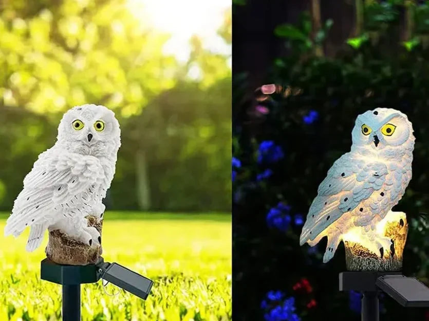 Dvě fotografie vedle sebe: bílá sova ve dne na trávníku a rozsvícená v noci mezi modrými květy. 9