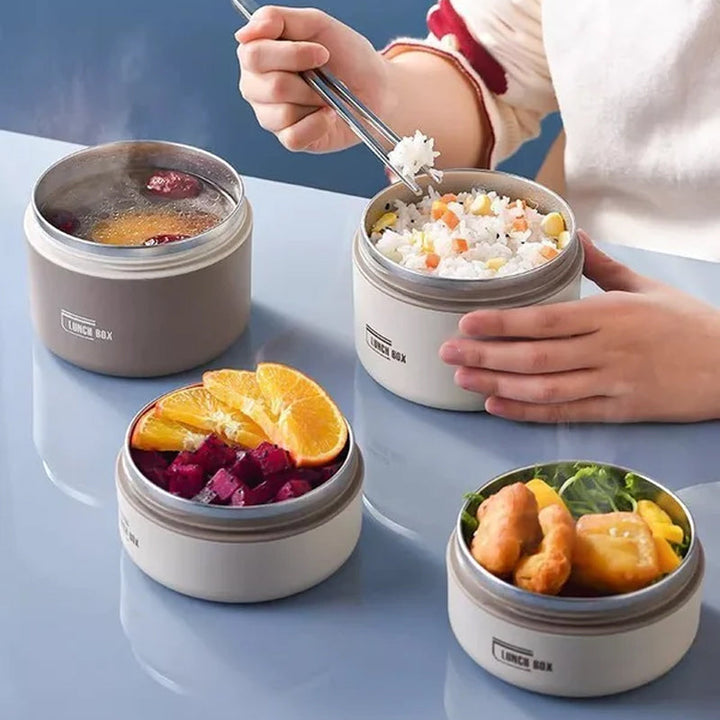 Person mit Lunchbox, Edelstahl, Bento-Box, Essen, Obst, Reis, gesund, tragbar, wiederverwendbar.
