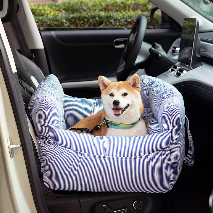 Hund in gestreiftem Autohundesitz, blau-weiß, bequem, sicher, Haustierzubehör, Auto.