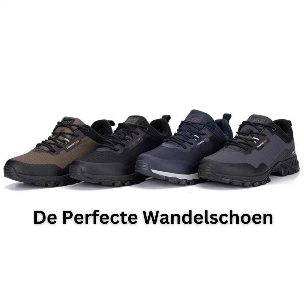 Vier Paar Outdoor-Wanderschuhe, verschiedene Farben, rutschfeste Sohle, ideal für Trekking.