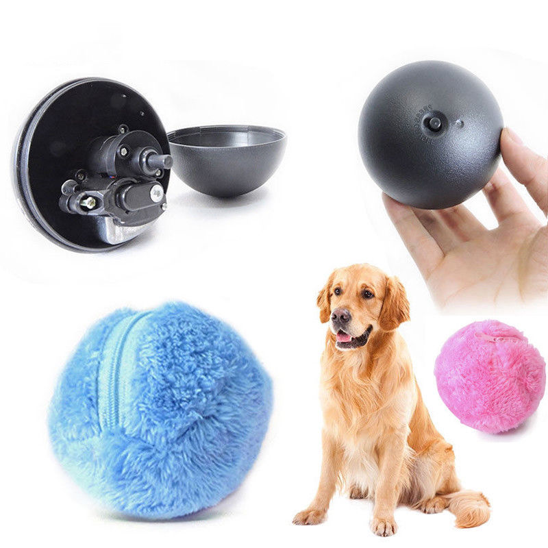 Hundespielzeug Set: Schwarze Ballmaschine, blaue und rosa Plüschbälle, Golden Retriever.
