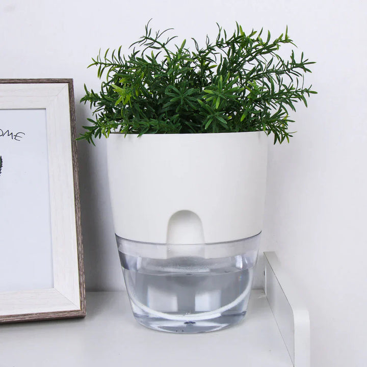 Weißer selbstbewässernder Blumentopf mit grüner Pflanze, modernes Design, Kunststoff.