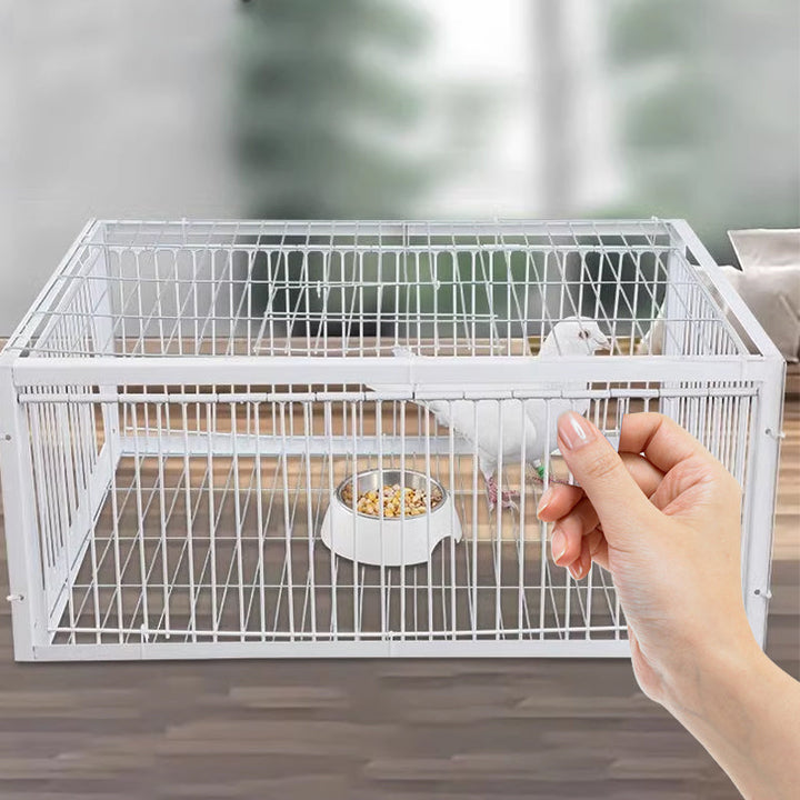 Ptačí past šetrná k ptactvu s vratnou pojistkou – past BirdSafe
