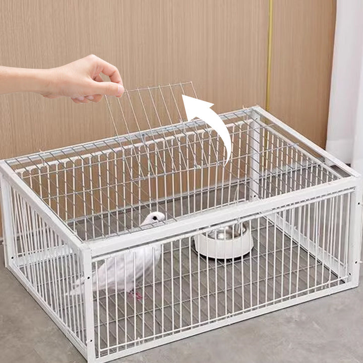Ptačí past šetrná k ptactvu s vratnou pojistkou – past BirdSafe