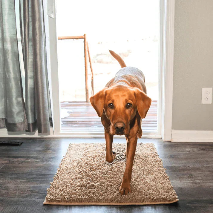 Super absorbující psí podložka – PawMat
