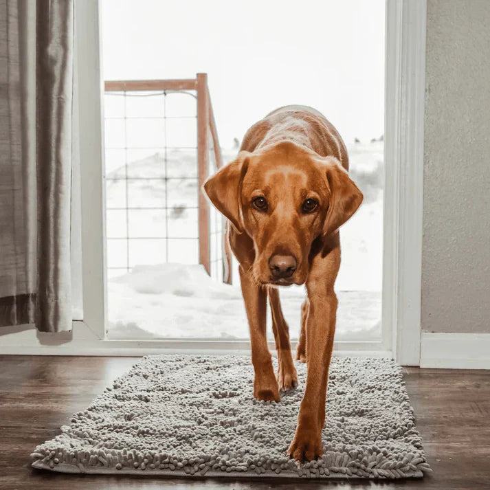 Super absorbující psí podložka – PawMat