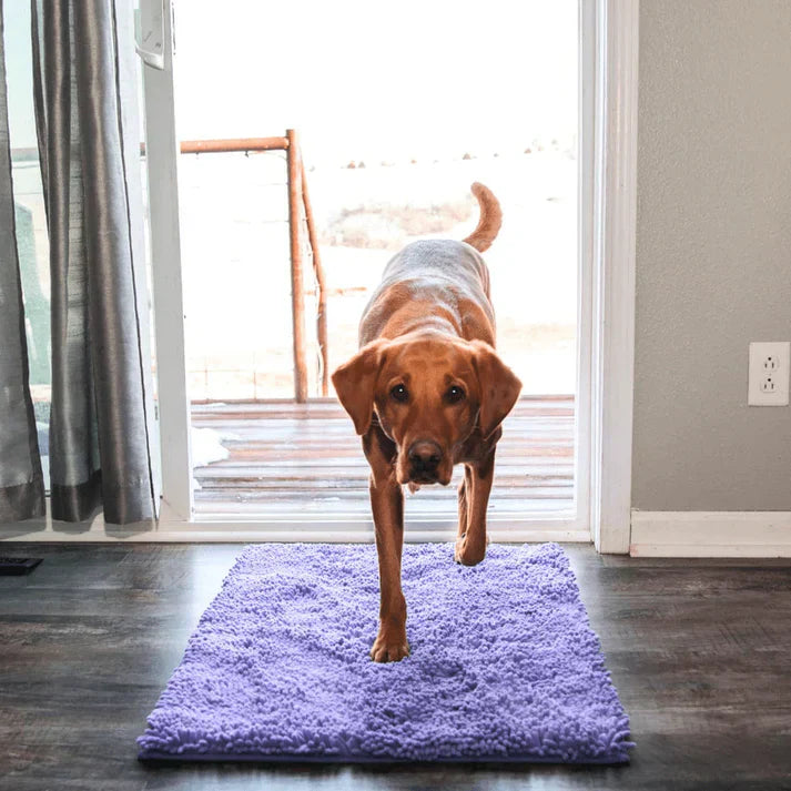 Super absorbující psí podložka – PawMat